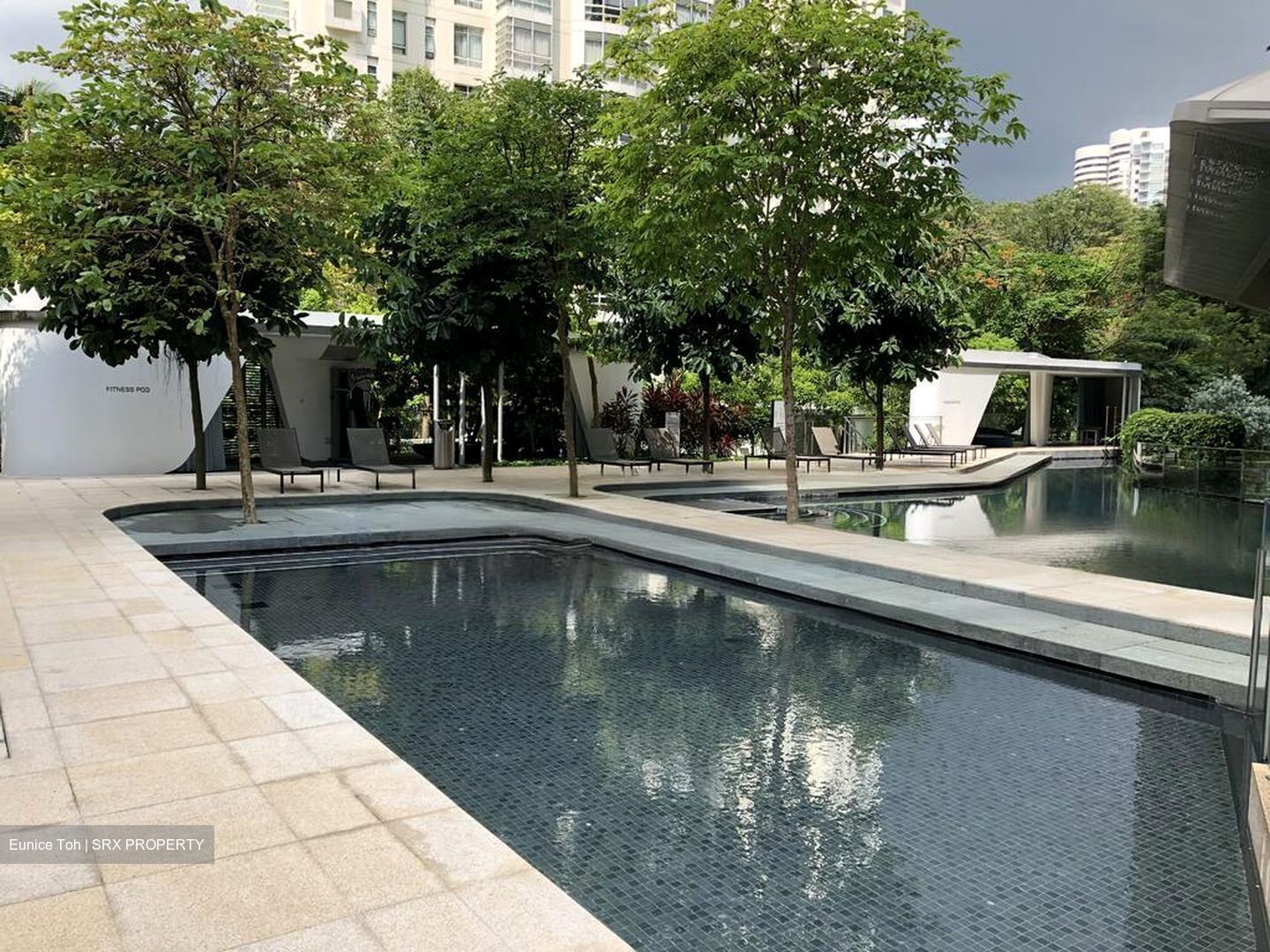 The Scotts Tower (D9), Condominium #466808721